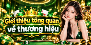Giới thiệu tổng quan